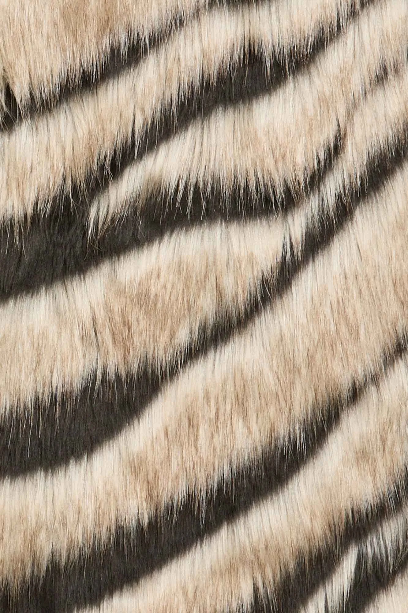 Bengal Kiss Coat