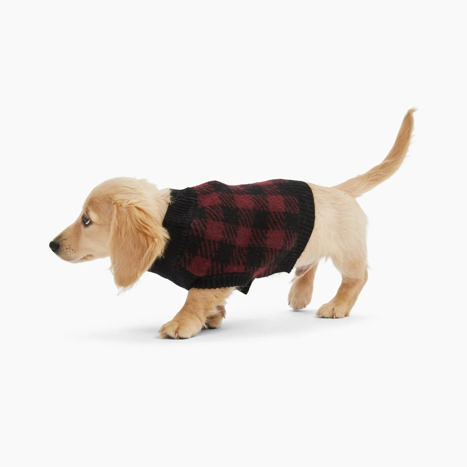 Plaid Cashmere Dog Sweater for Optimal Style